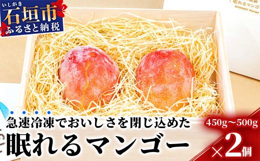 石垣の恵 眠れるマンゴー(450g～500g)2玉 専用箱入 KB-31