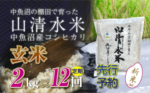 【新米先行受付】【定期便／全12回】玄米2kg　新潟県魚沼産コシヒカリ「山清水米」