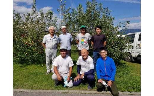 KR11-24A りんご 紅玉 家庭用 約4.5kg / 9月下旬頃～配送予定 // 長野県 南信州 松川町  りんご リンゴ 林檎 紅玉