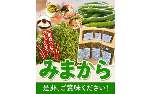 薬味 みまから お試しセット 《30日以内に出荷予定(土日祝除く)》工房ロマン 徳島県 美馬市 みまから 特産品 美馬市産 青唐辛子 唐辛子 冷奴 ラーメン お鍋