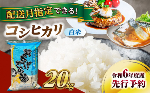 【9月発送】コシヒカリ　白米　20kg　米　お米　ご飯　愛西市/脇野コンバイン [AECP023-1]