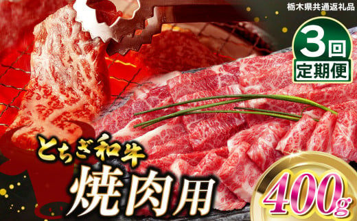 【定期便3回】とちぎ和牛焼肉用 400g | 和牛切り落とし 黒毛和牛 切り落とし 栃木県産黒毛和牛 焼肉 バーベキュー BBQ  肉 牛肉 高級 共通返礼品 ご褒美 ふるさと納税 栃木県 那珂川町 送料無料