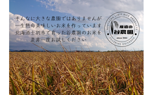 【北海道士別市】（産直の谷農園）※定期便※　産地直送米「ゆめぴりか」（20㎏×10ヵ月）