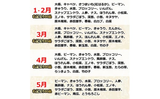 【0123608a】自慢の農家×老舗青果店の新鮮でおいしい野菜・おまかせ便(10品) 野菜 セット 詰め合わせ 詰合せ 旬 お野菜【有留青果】