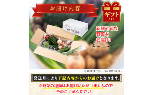 【0123608a】自慢の農家×老舗青果店の新鮮でおいしい野菜・おまかせ便(10品) 野菜 セット 詰め合わせ 詰合せ 旬 お野菜【有留青果】