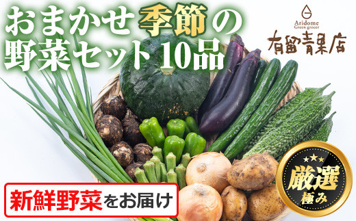 【0123608a】自慢の農家×老舗青果店の新鮮でおいしい野菜・おまかせ便(10品) 野菜 セット 詰め合わせ 詰合せ 旬 お野菜【有留青果】