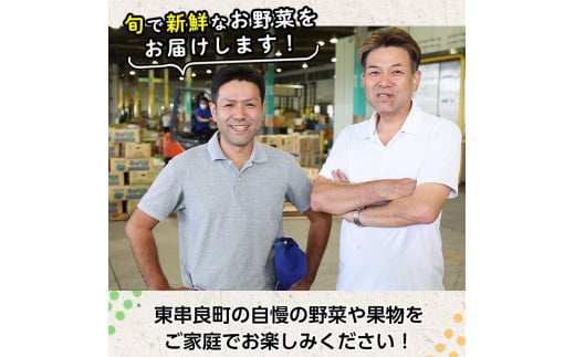 【0123608a】自慢の農家×老舗青果店の新鮮でおいしい野菜・おまかせ便(10品) 野菜 セット 詰め合わせ 詰合せ 旬 お野菜【有留青果】