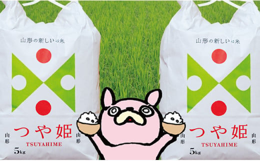 米 つや姫 令和6年産 10kg（5kg×2袋） 精米 2024年産 こめ コメ 山形県 朝日町産