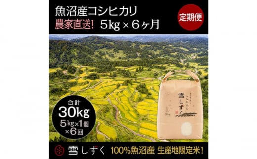 【令和6年産】定期便！魚沼産コシヒカリ【合計30kg】毎月5kg×6回