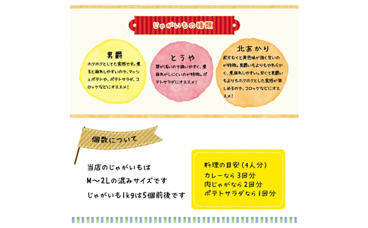 <早期予約>北海道ニセコ町 訳ありじゃがいも男爵10kg【2024年産】【3201001】
