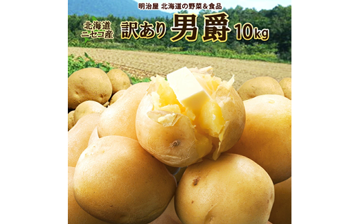 <早期予約>北海道ニセコ町 訳ありじゃがいも男爵10kg【2024年産】【3201001】
