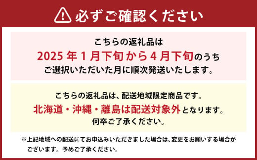 【先行予約】福岡県産 羽衣農園の 完熟 あまおう 約1kg 約250g×4パック