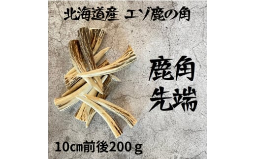 鹿の角 枝先10cm前後200gセット 北海道産 アクセサリー クラフト材【1413839】