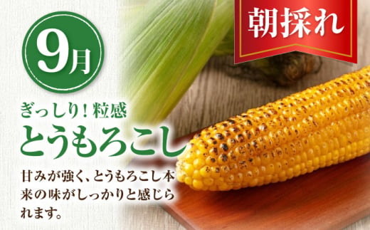  メロン とうもろこし じゃがいも かぼちゃ 夏野菜 秋野菜 季節の野菜 