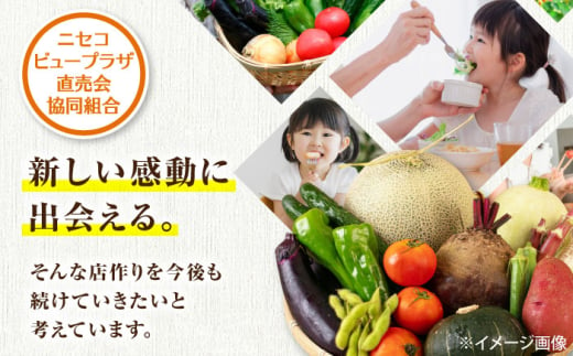  メロン とうもろこし じゃがいも かぼちゃ 夏野菜 秋野菜 季節の野菜 