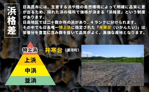 井寒台は日高で特上浜に指定されている唯一の浜です。