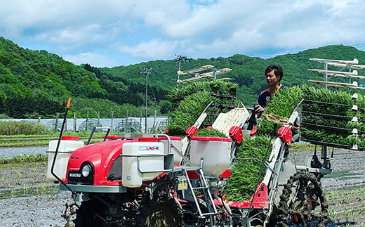 あなたに年貢チケット（つむぎ米1俵）10kgずつ配送【好きなタイミングでご注文可能】 《山本農園》 森町 こめ お米 米 白米 ゆめぴりか 北海道米 北海道産 ふるさと納税 北海道 mr1-0173