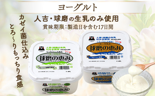 球磨の恵み ヨーグルト 加糖・砂糖不使用 1000g×各2個セット 合計4kg【 新鮮 生乳使用 とろーり もっちり 加糖ヨーグルト 砂糖不使用 プレーンヨーグルト 食べるヨーグルト 】 074-0448