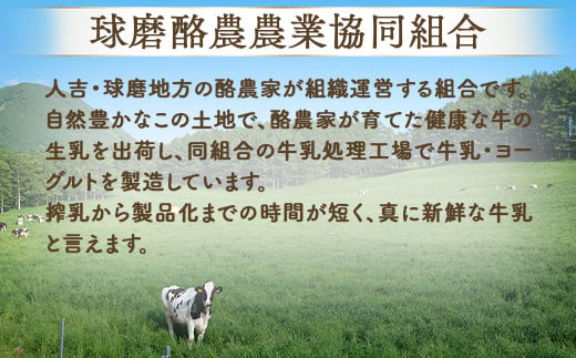 球磨の恵み ヨーグルト 加糖・砂糖不使用 1000g×各2個セット 合計4kg【 新鮮 生乳使用 とろーり もっちり 加糖ヨーグルト 砂糖不使用 プレーンヨーグルト 食べるヨーグルト 】 074-0448