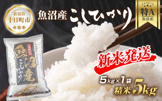 【令和6年産 新米予約】 魚沼産 コシヒカリ 5kg 新米 農家のこだわり 新潟県 十日町市 お米 こめ 白米 コメ 食品 人気 おすすめ 送料無料