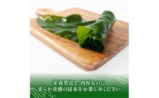 三陸わかめ 三陸産 芯抜き塩蔵わかめ 250g×2袋 湯通し塩蔵こんぶ 500g×2袋