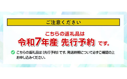 【令和7年産 先行予約】家庭用　幸水梨 3kg(6～10玉)　マルタ農園