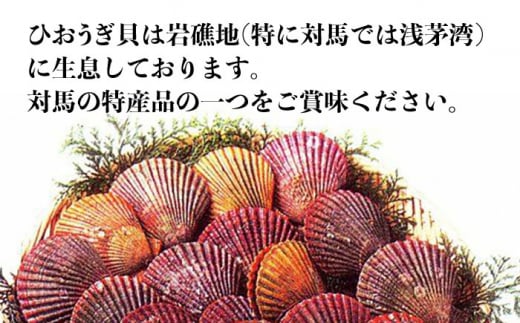 ひおうぎ貝 20枚 《 対馬市 》【 うえはら株式会社 】 新鮮 肉厚 海産物 対馬産 貝 BBQ 冷凍 疲労回復 特産品 ビタミン [WAI085]