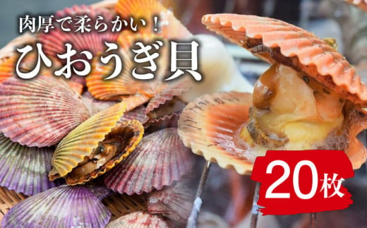 ひおうぎ貝 20枚 《 対馬市 》【 うえはら株式会社 】 新鮮 肉厚 海産物 対馬産 貝 BBQ 冷凍 疲労回復 特産品 ビタミン [WAI085]