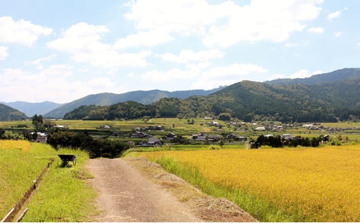 京丹波町和知地区の豊かな自然環境で栽培されました