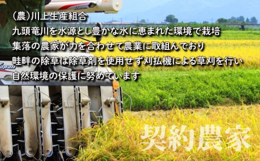 【令和6年産 新米】こしひかり（福井県大野市産）エコファーマー米（白米）30kg（5kg×6袋）