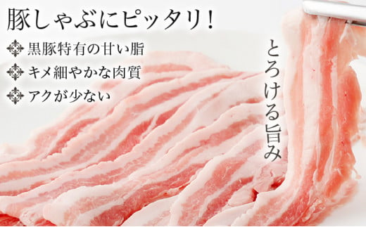 おかやま黒豚 しゃぶしゃぶ用 ロース・バラ・モモスライス 食べ比べセット 1kg以上（350g×3パック）