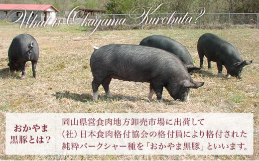 おかやま黒豚 しゃぶしゃぶ用 ロース・バラ・モモスライス 食べ比べセット 1kg以上（350g×3パック）