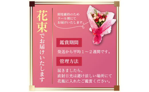 バラ 花束 15本 赤 ピンク 系 ローズ ギフト用 フラワー 花 ブーケ 薔薇 新鮮 ばら 高品質 綺麗 おもてなし ご褒美 花束 フラワーアレンジメント 草花 誕生日 記念日 母の日 父の日 敬老の日 プロポーズ 結婚祝い 結婚式 ギフト プレゼント お祝い 贈り物 贈答 インテリア おしゃれ かわいい 雑貨 飾り 鑑賞 旬 植物 春夏秋冬 季節 自宅用