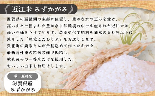 近江米　みずかがみ　白米１０㎏ 令和6年産 BD08