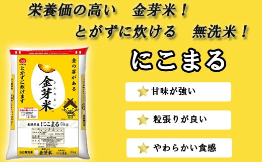 BG無洗米・金芽米にこまる 5kg×6ヵ月 定期便【毎月】計量カップ付き【新米 令和6年産 毎月 6ヶ月 時短 健康】