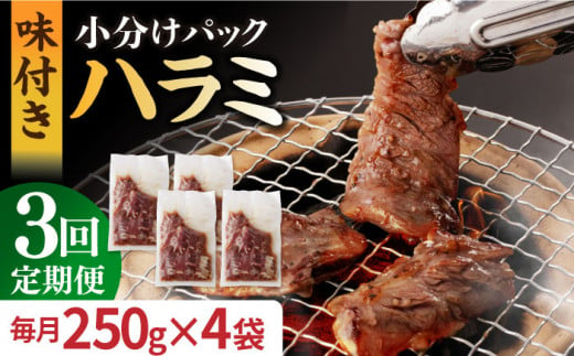 国産 牛肉 ハラミ 牛ハラミ はらみ 小分け 味付き サガリ 焼肉 焼き肉 塩 しお 冷凍 焼肉  定期便 ていきびん 定期