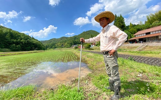 高津川の恵み 特別栽培米ヘルシー元氣米2kg×2袋(4kg)(令和6年産)【1209634】