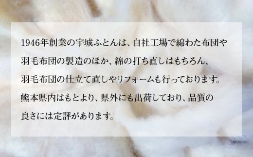 100-3　宇城ふとん　毛抜仕立て洋布団セット（シングルサイズ、中綿・混綿）