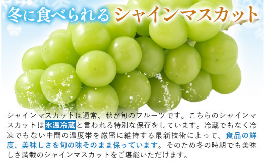 239.岡山県産 冷蔵 シャインマスカット 2房 (530g以上) 【配送不可地域あり】 《11月中旬-12月末頃に出荷予定(土日祝除く)》 岡山県 矢掛町 マスカット ぶどう 葡萄 氷温冷蔵 果物 フルーツ