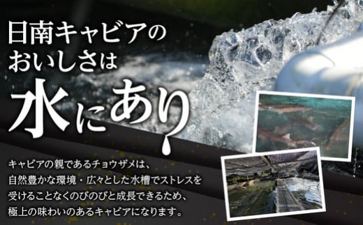 数量限定 スターレット キャビア 計20g 魚卵 国産 小粒 魚介 魚貝 食品 加工品 コチョウザメ 世界三大珍味 希少 海産物 おつまみ おすすめ 人気 高級 贅沢 ご褒美 パーティー 前菜 オードブル お取り寄せ グルメ ギフト 贈答 特産品 宮崎県 日南市 送料無料_CD29-21