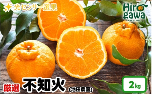 厳選 不知火 2kg+60g（痛み補償分）【 デコポン と同品種 人気の 春みかん 】＜2月上旬～3月下旬ごろに順次発送予定＞ ※北海道・沖縄・離島への配送不可 / みかん くだもの フルーツ 果物 果実 柑橘 和歌山 紀州 有田【ikd010-p-2】