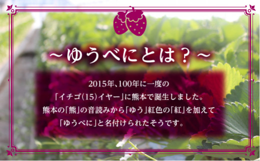 FKP9-540 【先行予約】球磨村産いちご/ゆうべに 3箱 (250g×6パック)