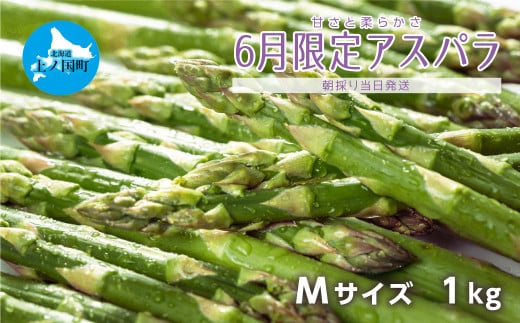 寅福菜園の朝採れ6月限定アスパラ　Mサイズ１ｋｇ