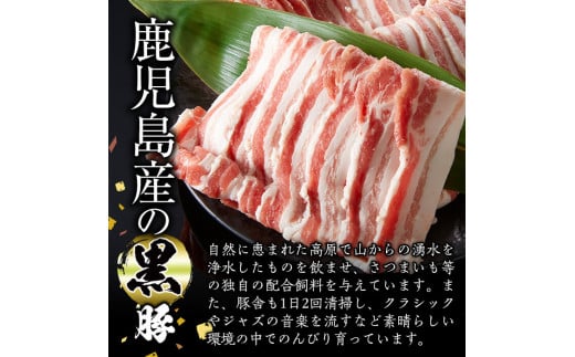 【0123308a】かごしま黒豚焼肉セット(合計800g・ロース400g・バラ400g)国産 豚肉 肉 冷凍 ロース肉 バラ肉 鹿児島 焼肉 BBQ バーベキュー【デリカフーズ】