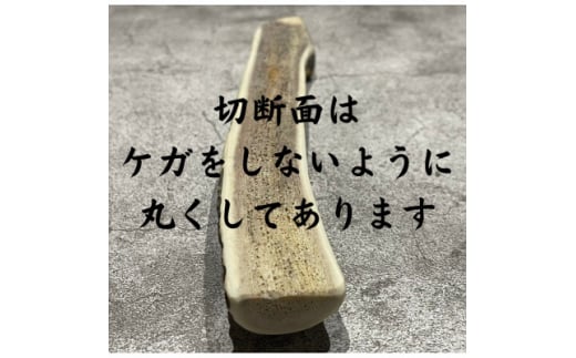 鹿の角 お試しサイズ 10cm 2本 犬のおもちゃ デンタルケア 小型犬用【1415910】