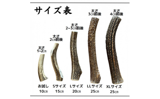 鹿の角 お試しサイズ 10cm 2本 犬のおもちゃ デンタルケア 小型犬用【1415910】