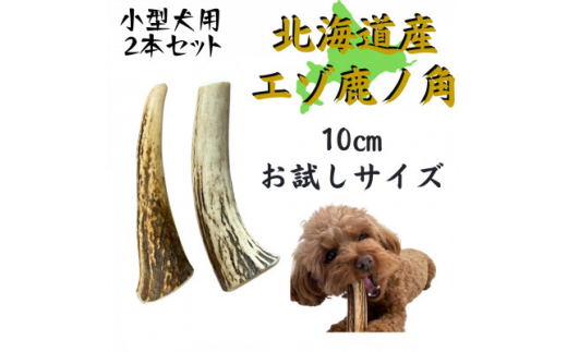 鹿の角 お試しサイズ 10cm 2本 犬のおもちゃ デンタルケア 小型犬用【1415910】