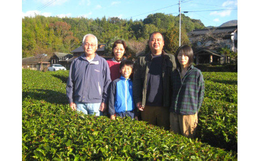 玉緑茶(たまりょくちゃ) 、 粉末緑茶 、 紅茶 ティーバッグ 、 ほうじ茶 ティーバッグ 詰め合わせ