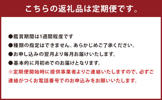 【定期便】お花の定期便シリーズ「毎月」届く 旬のお花 12回 1年間 フワラーアレンジメント