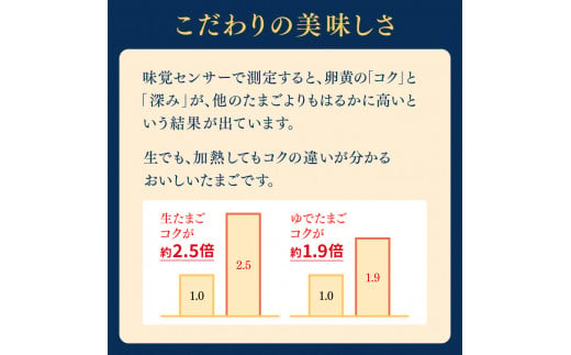 たまご 【たまごと匠】 赤玉40粒（2箱） | 熊本県 熊本 くまもと 和水町 なごみ 卵 タマゴ 赤玉 20粒 2箱 40粒 TKG